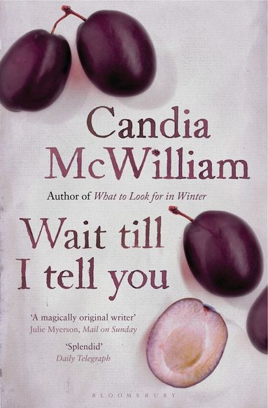 Candia McWilliam - Wait Till I Tell You, Häftad