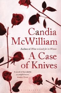 bokomslag Case of Knives