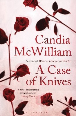 bokomslag Case of Knives