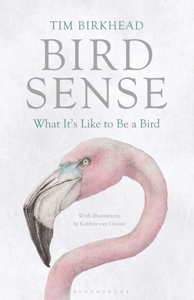 Tim Birkhead - Bird Sense, Häftad