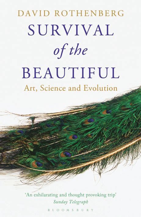 David Rothenberg - Survival of the Beautiful, Häftad