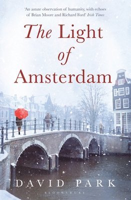 bokomslag The Light of Amsterdam