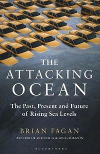 bokomslag The Attacking Ocean