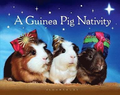 bokomslag A Guinea Pig Nativity