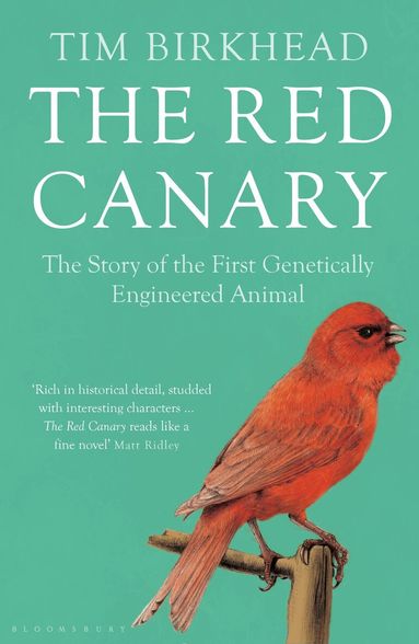 Tim Birkhead - Red Canary, Häftad