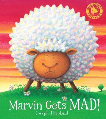 Marvin Gets MAD!