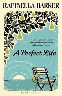bokomslag A Perfect Life