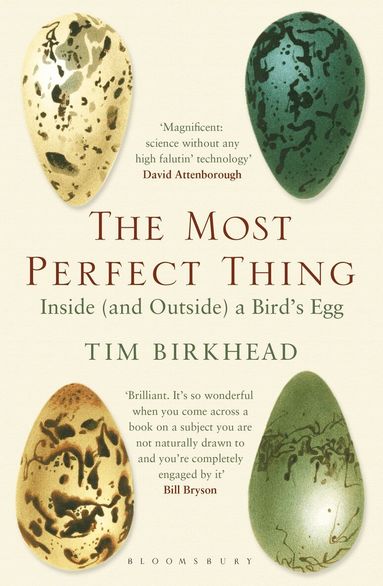 Tim Birkhead - Most Perfect Thing, Häftad