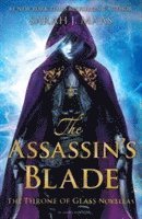 bokomslag The Assassin's Blade