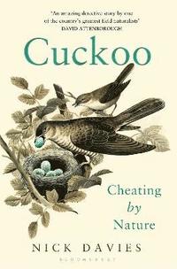 bokomslag Cuckoo