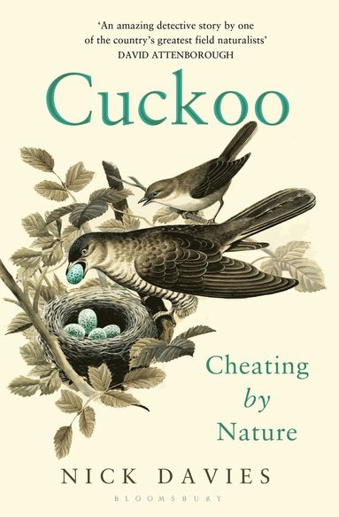 bokomslag Cuckoo