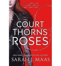 bokomslag A Court of Thorns and Roses