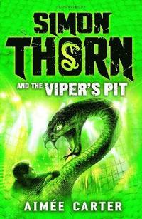bokomslag Simon Thorn and the Viper's Pit