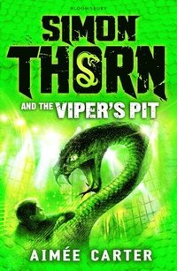 bokomslag Simon thorn and the vipers pit