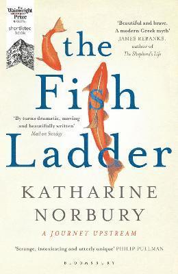 The Fish Ladder 1