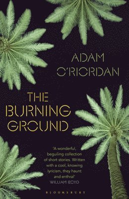 Burning Ground 1