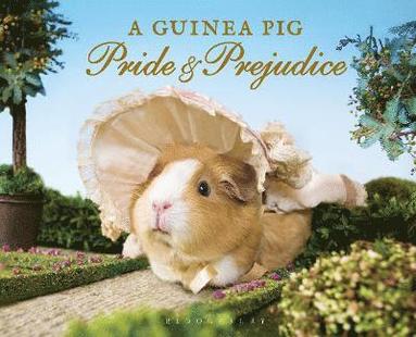 bokomslag A Guinea Pig Pride & Prejudice