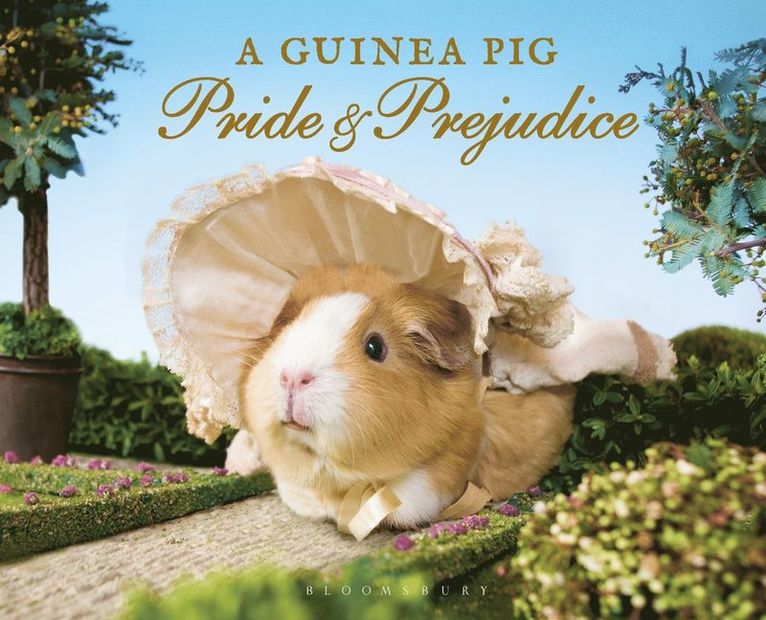 A Guinea Pig Pride & Prejudice 1