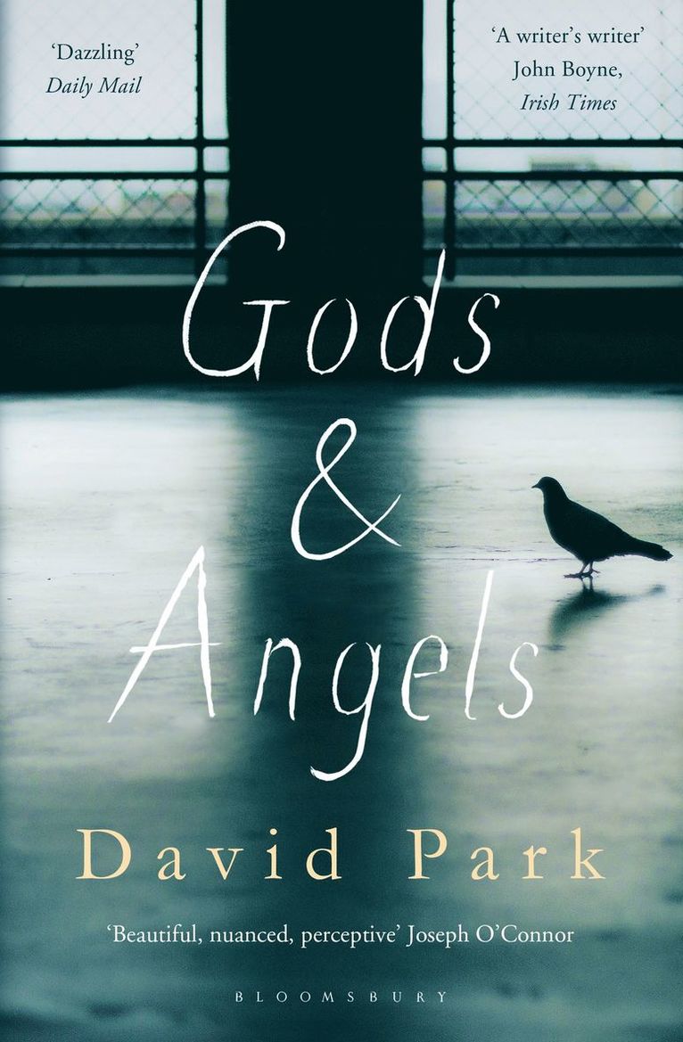 David Park - Gods and Angels, Häftad