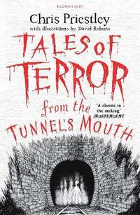 bokomslag Tales of Terror from the Tunnel's Mouth