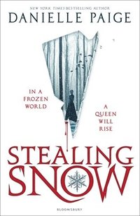 bokomslag Stealing Snow