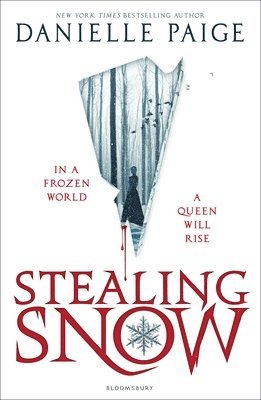 bokomslag Stealing Snow