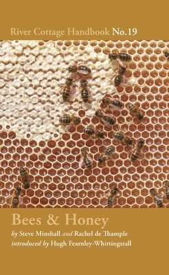 Bees & Honey 1