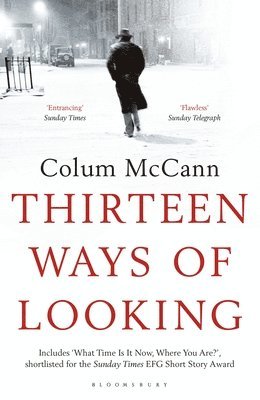 Thirteen Ways of Looking 1