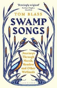 bokomslag Swamp Songs