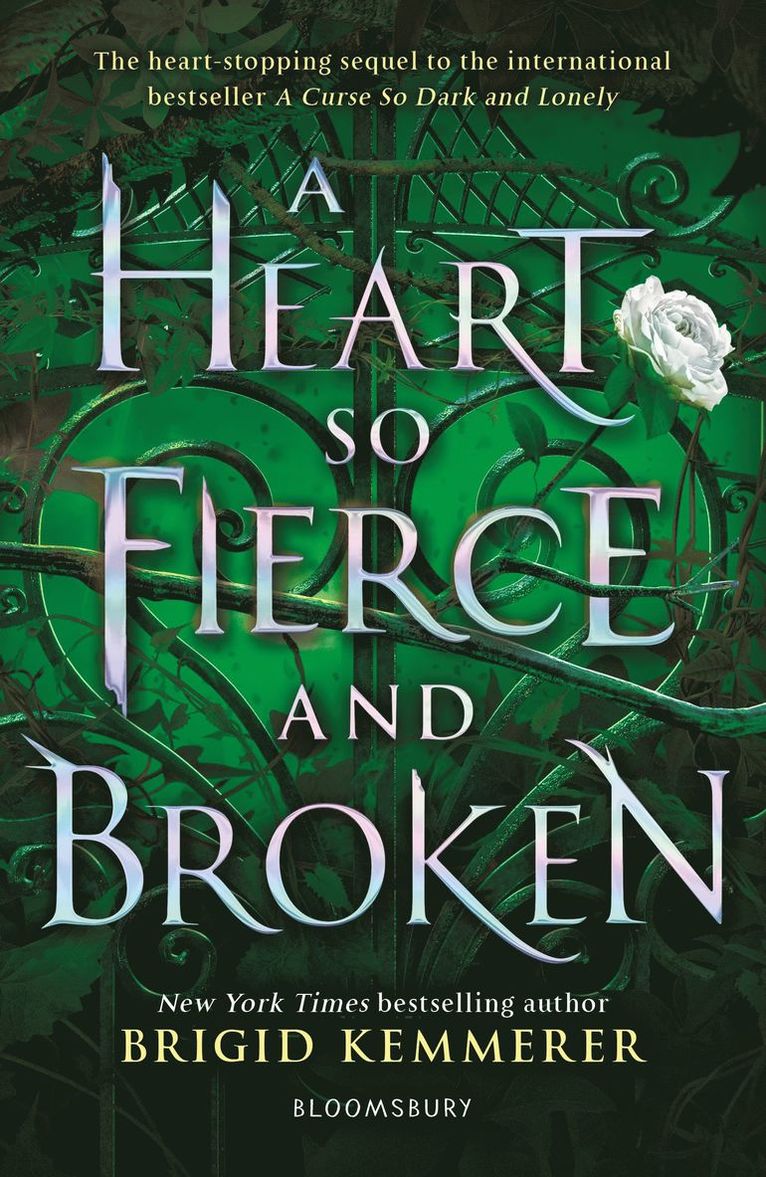 Heart So Fierce and Broken