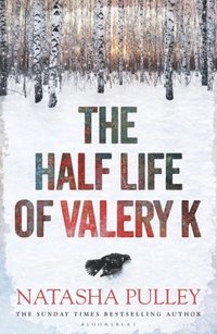 bokomslag Half Life Of Valery K