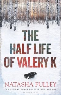 bokomslag The Half Life of Valery K