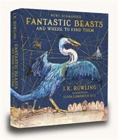 bokomslag Fantastic Beasts and Where to Find Them