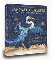 Fantastic Beasts and Where to Find Them 1