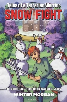 bokomslag Snow Fight