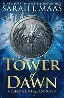 bokomslag Tower of Dawn