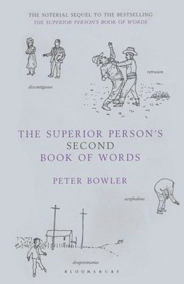 bokomslag Superior Person's Second Book of Words