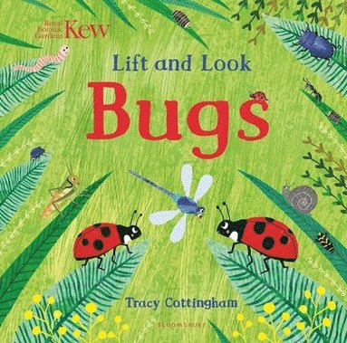 bokomslag Kew: Lift and Look Bugs