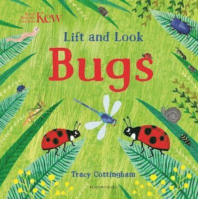 Kew: Lift and Look Bugs 1