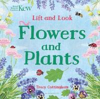 bokomslag Kew: Lift and Look Flowers and Plants