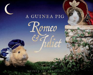 William Shakespeare, Tess Newall, Alex Goodwin - Guinea Pig Romeo & Juliet, Inbunden