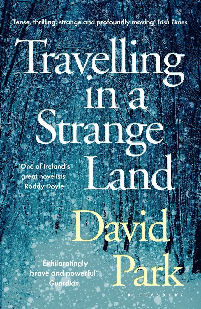 David Park - Travelling in a Strange Land, Häftad