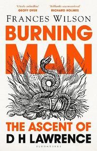 bokomslag Burning Man