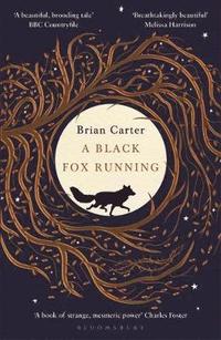 bokomslag A Black Fox Running