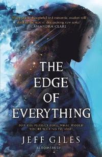bokomslag The Edge of Everything