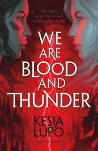 bokomslag We Are Blood And Thunder