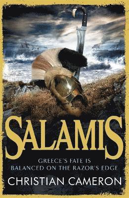 bokomslag Salamis