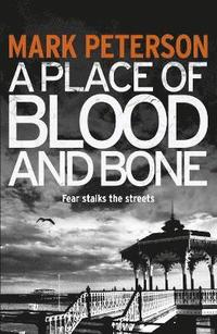 bokomslag A Place of Blood and Bone