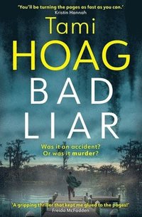 bokomslag Bad Liar