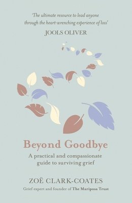 bokomslag Beyond Goodbye